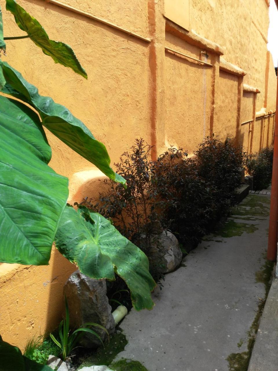 Apartmán Casa-Arbol Bogotá Exteriér fotografie